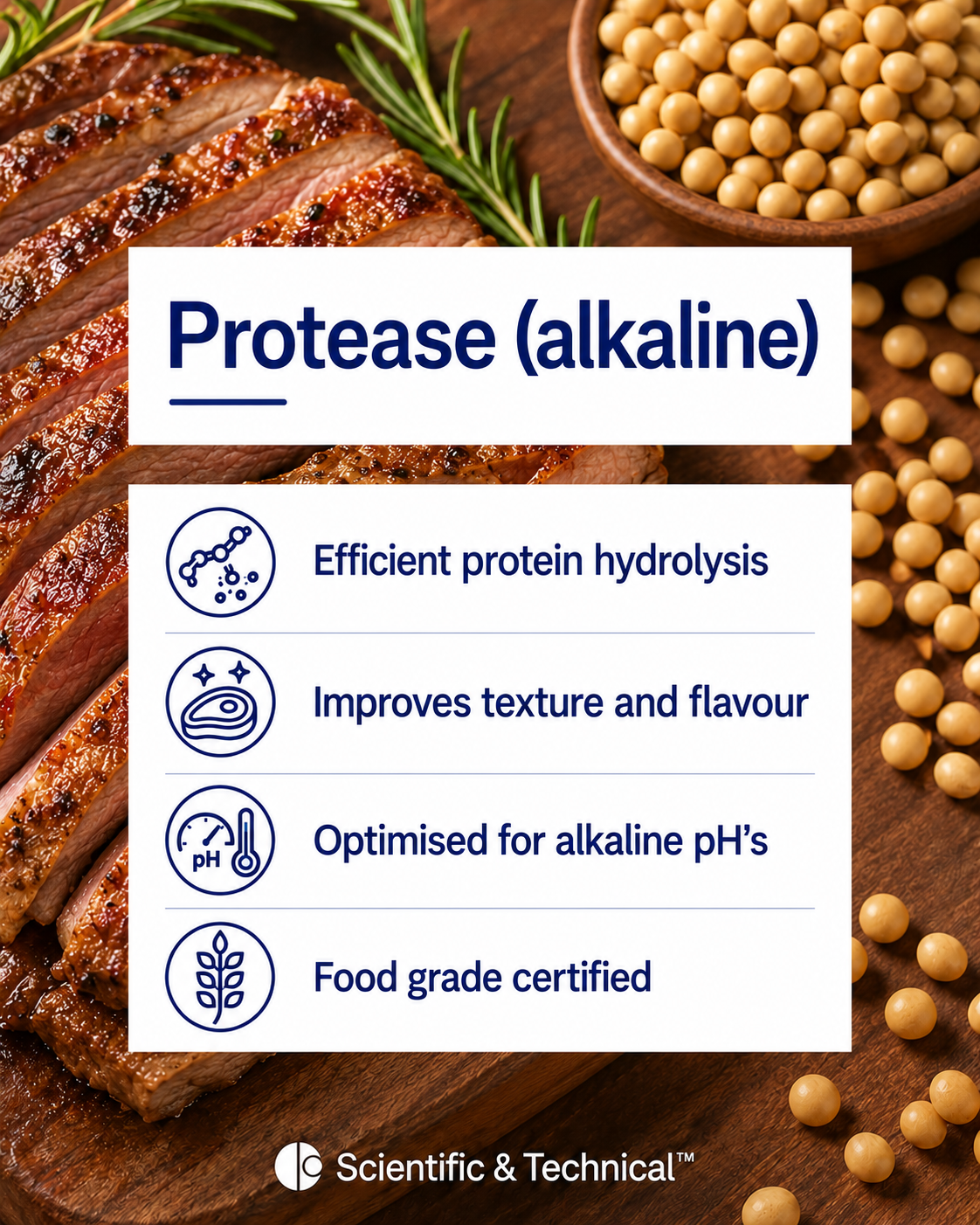Protease (alkaline)