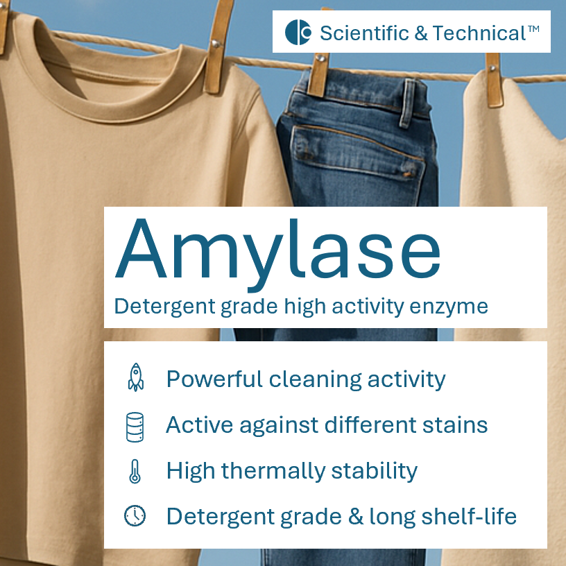 Amylase (detergent)