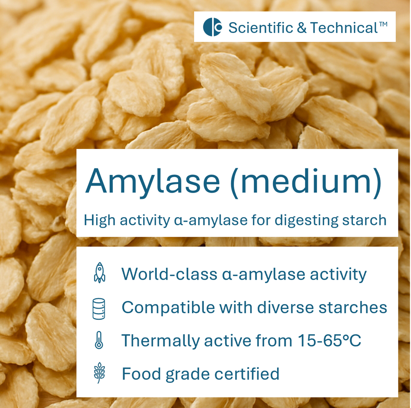 Amylase (medium)
