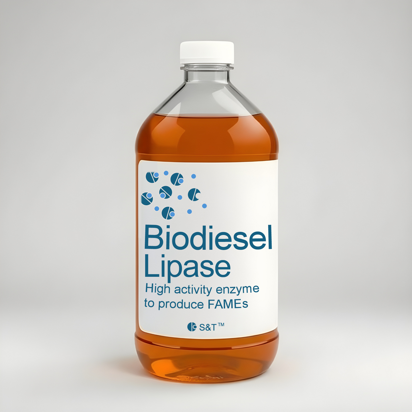 Biodiesel Lipase
