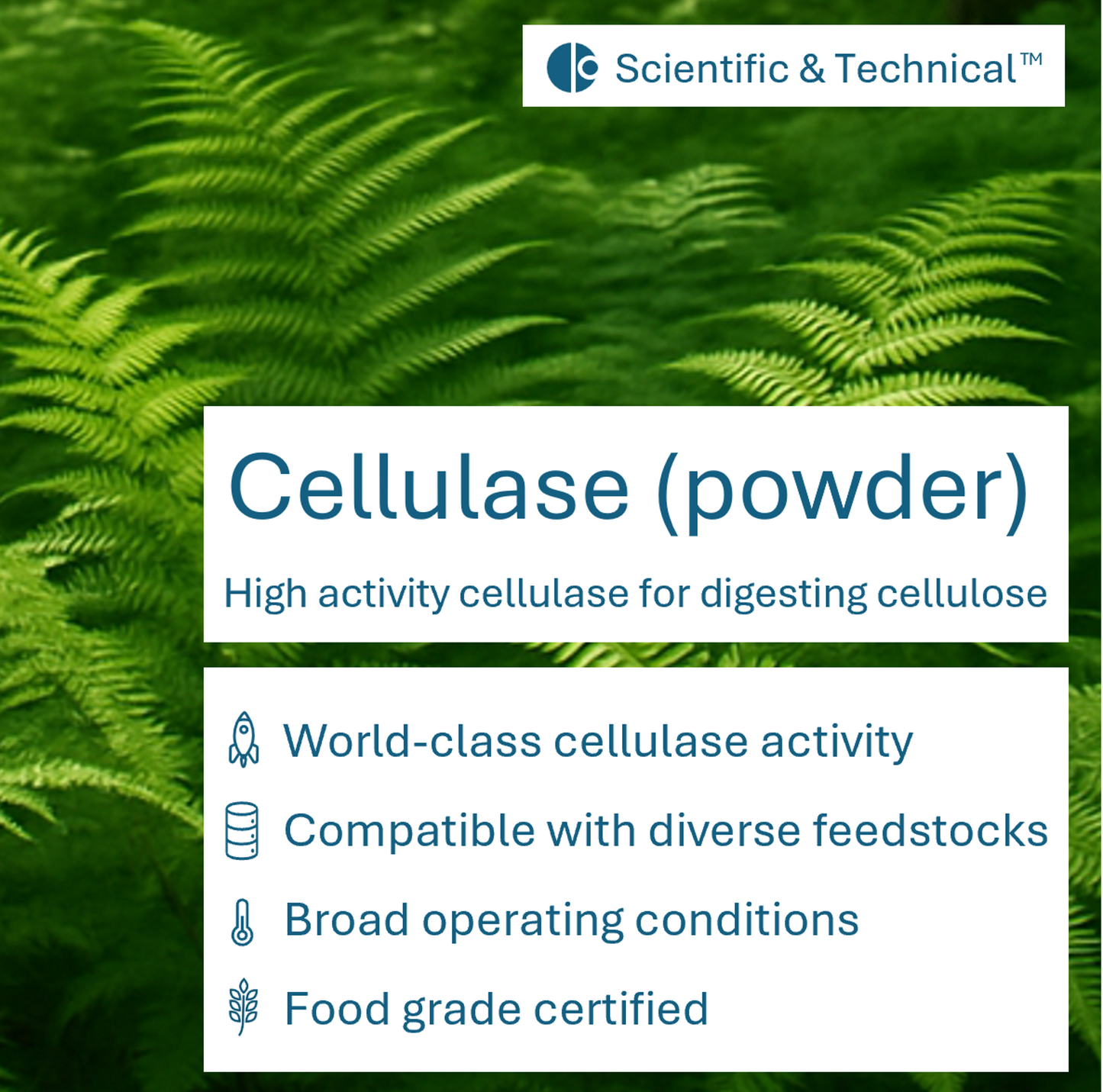 Cellulase (powder)