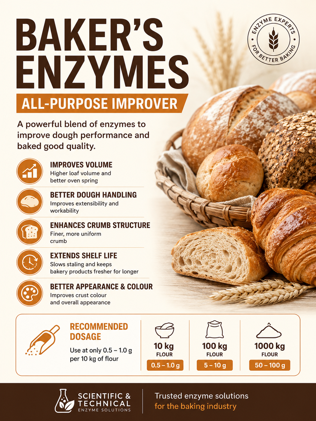 Baker's Enzymes