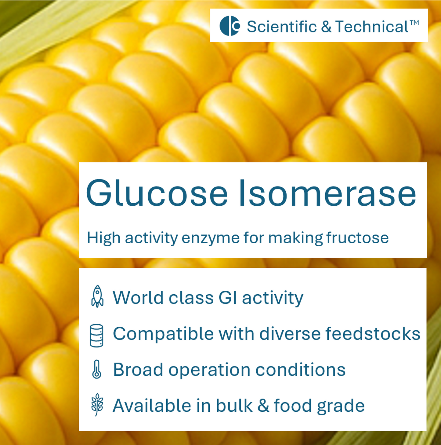 Glucose Isomerase (new)
