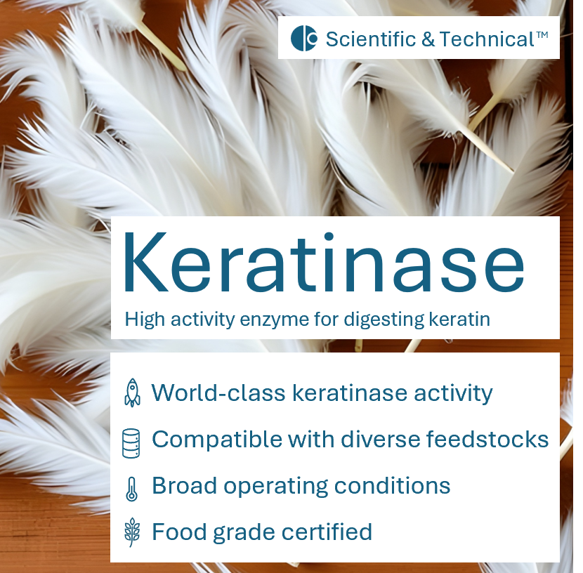 Keratinase
