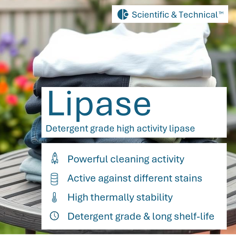 Lipase (detergent)