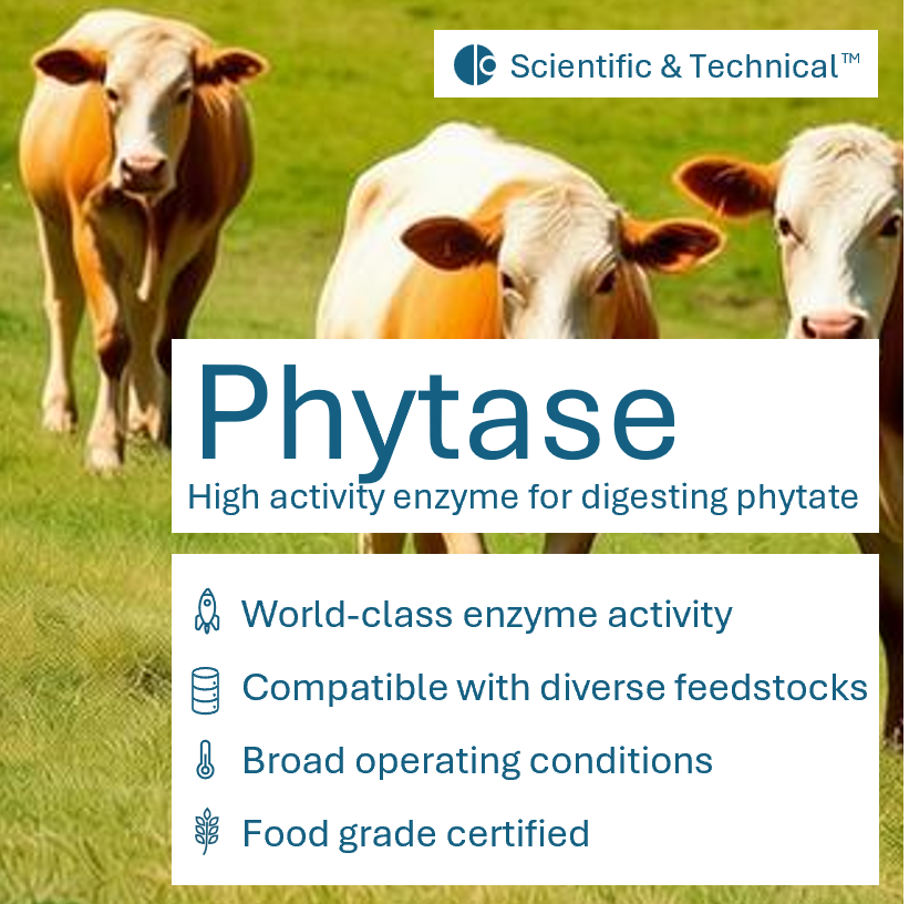 Phytase