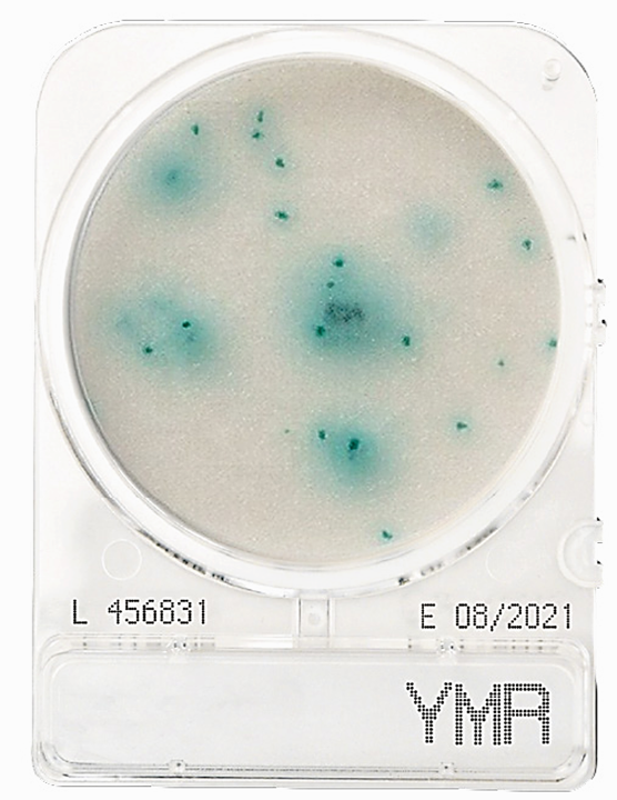 CompactDry YMR (yeast & mould contamination)
