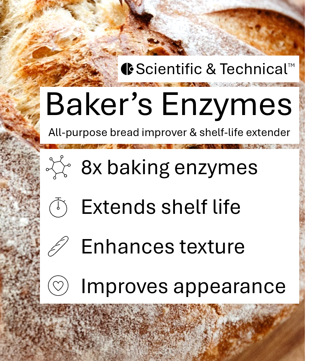 Baker's Enzymes