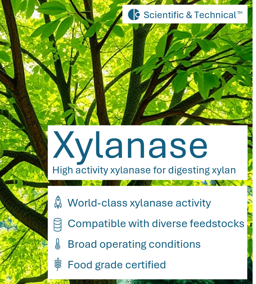 Xylanase (powder)