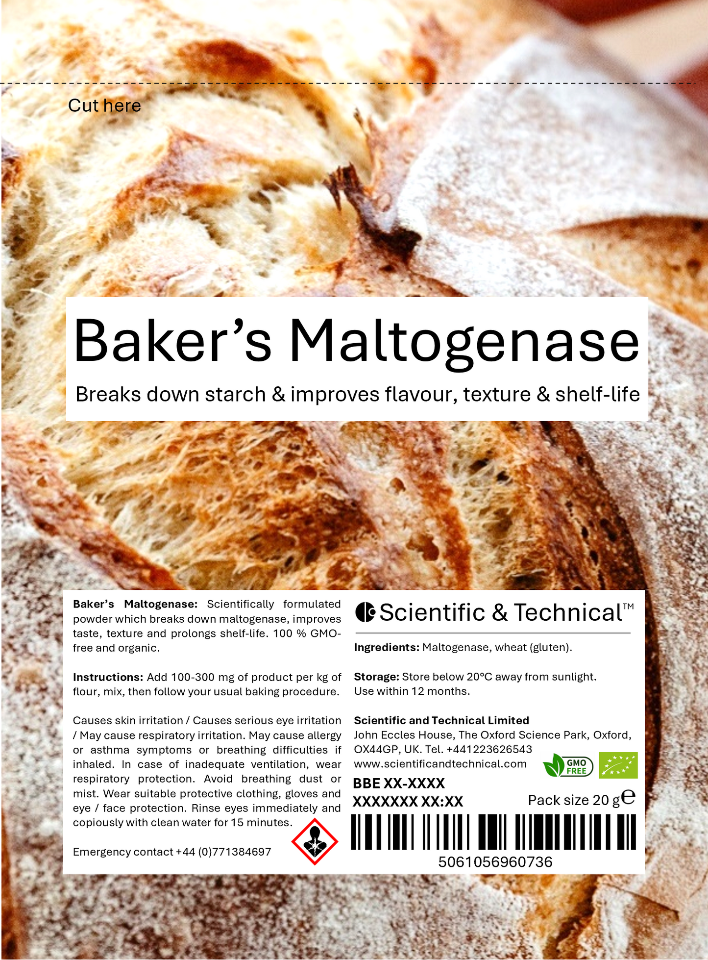 Baker's Maltogenase