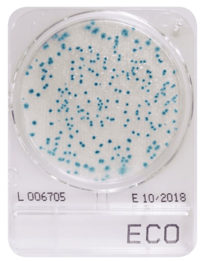 CompactDry ECO (E.coli food & drinks)