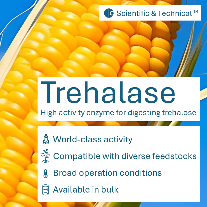 Trehalase (new)