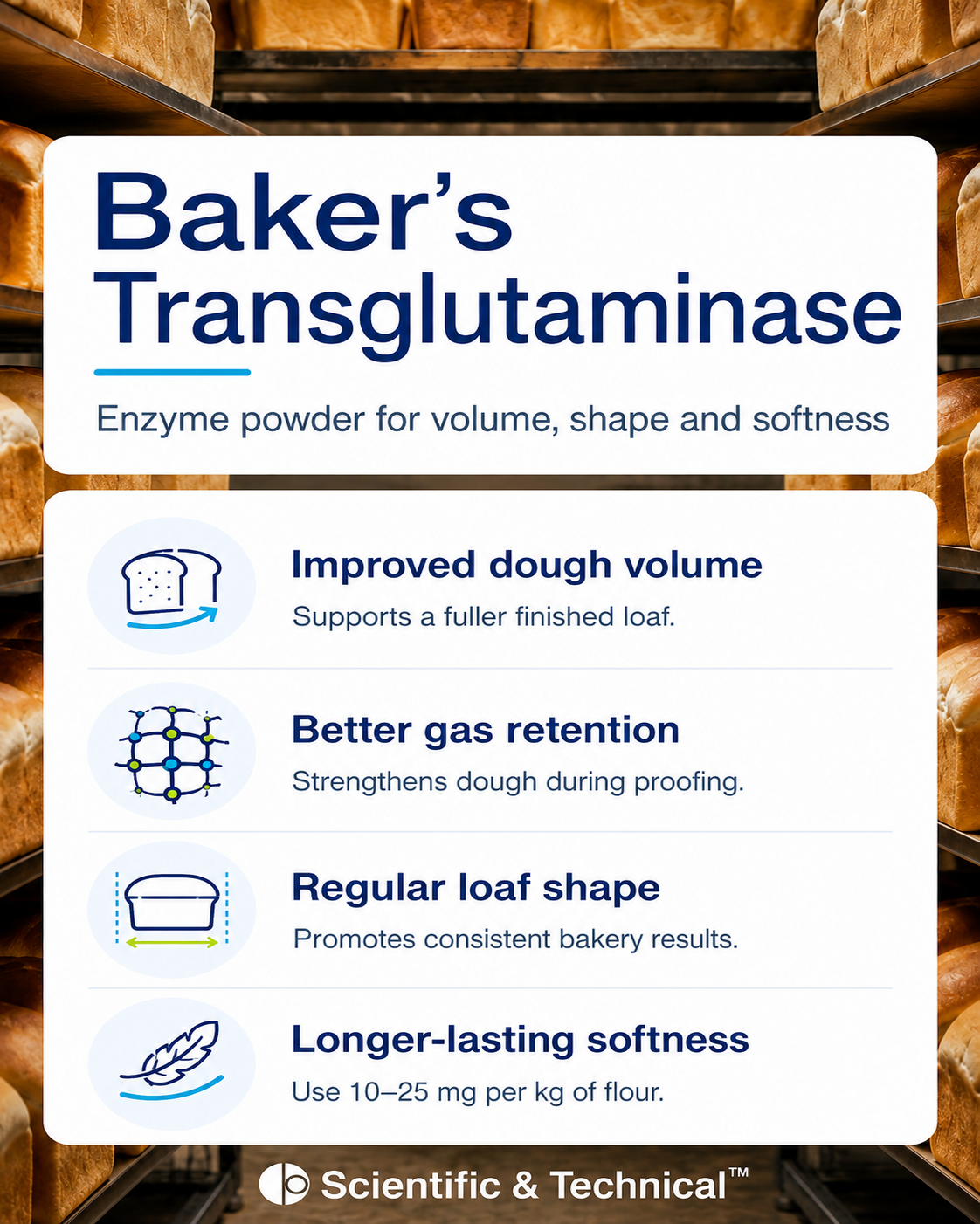 Baker's Transglutaminase product features and specifications