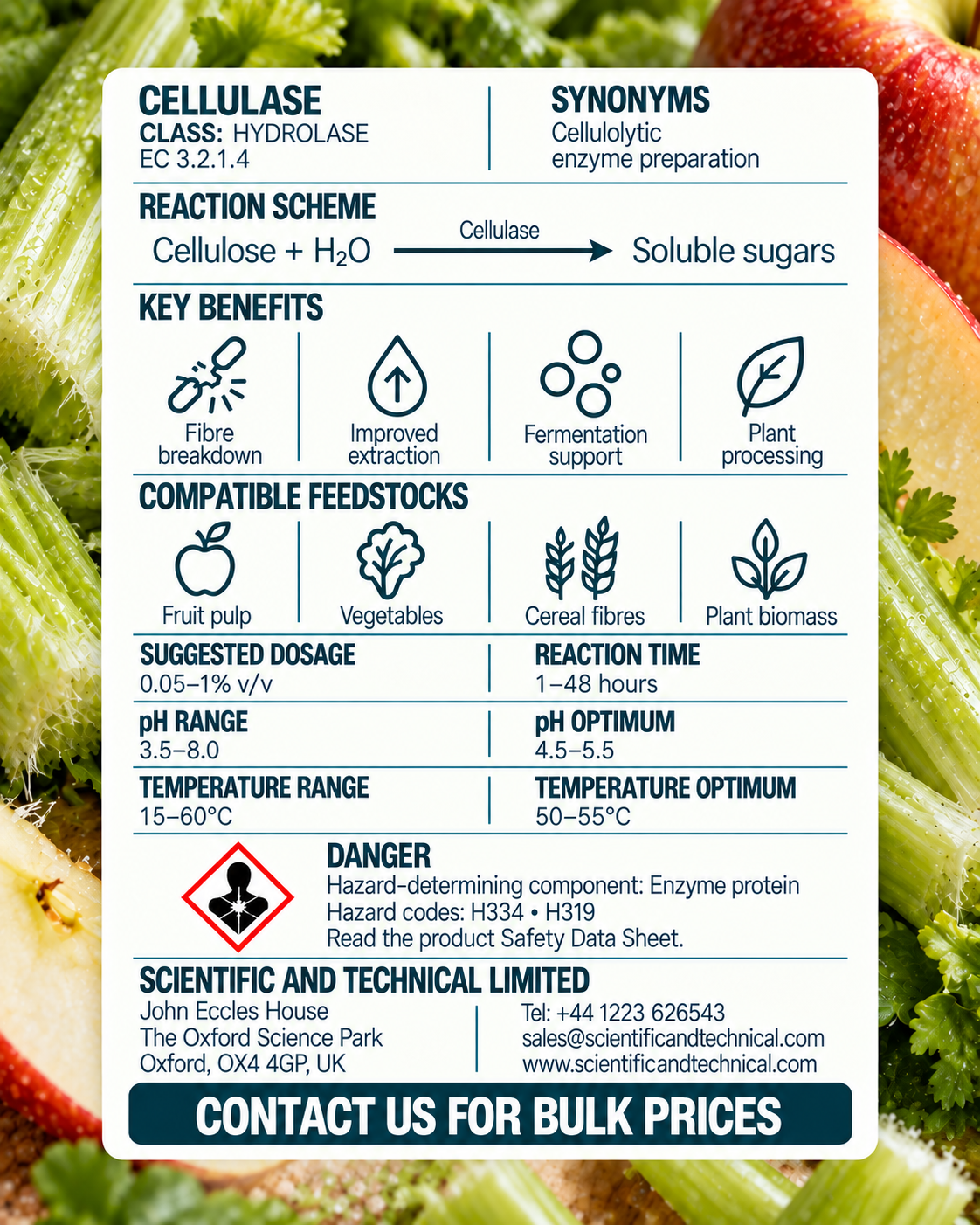 Cellulase back card: reaction, benefits, dosage and safety