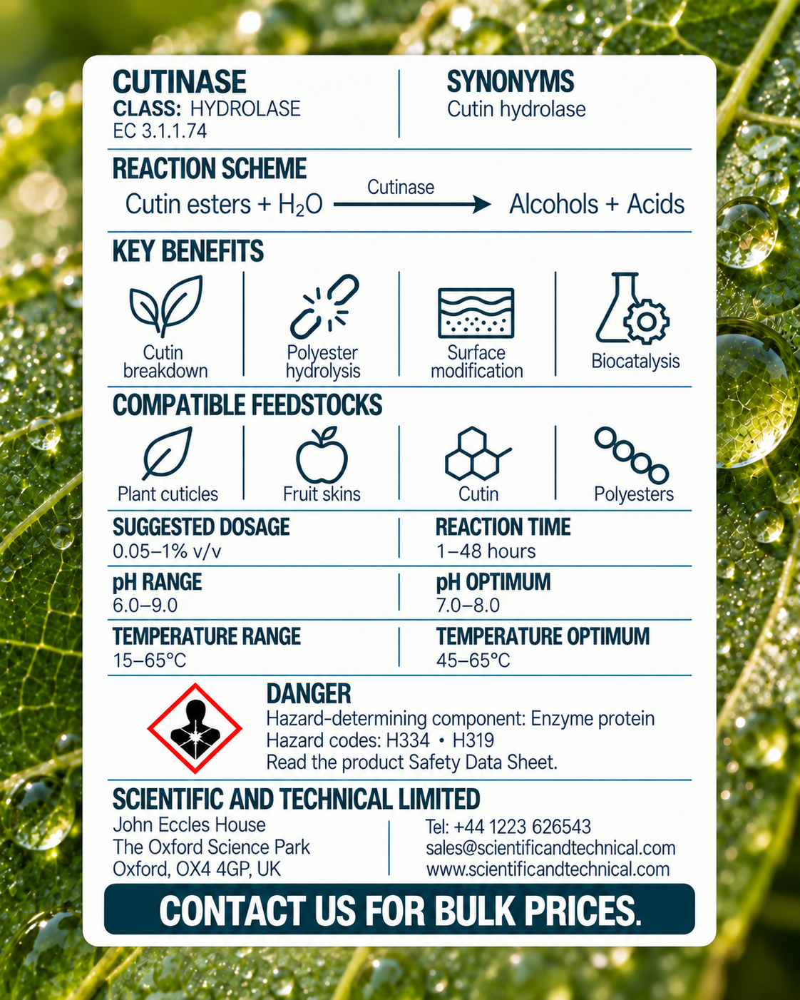 Cutinase back card: reaction, benefits, dosage and safety