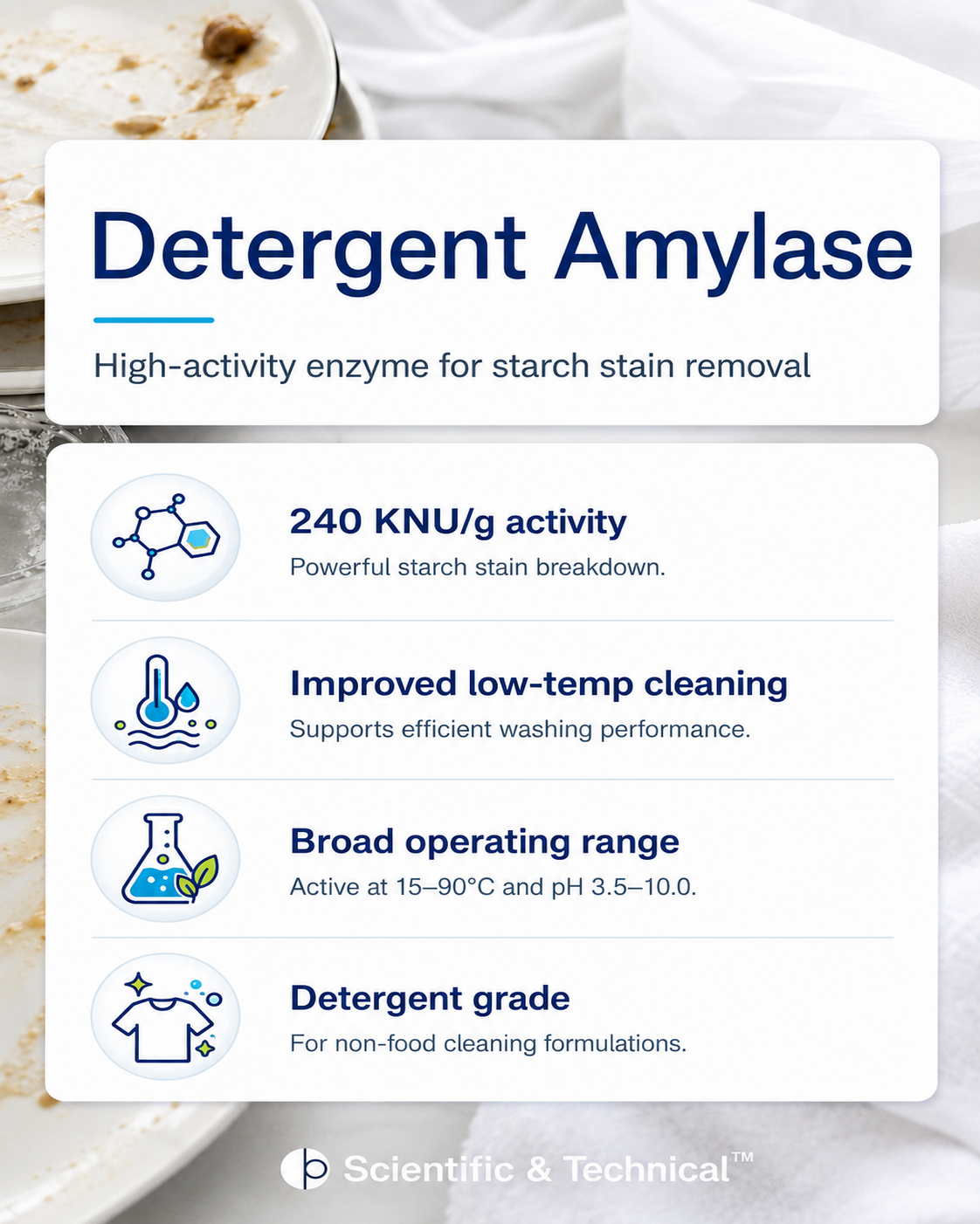 Amylase (detergent) product features and specifications
