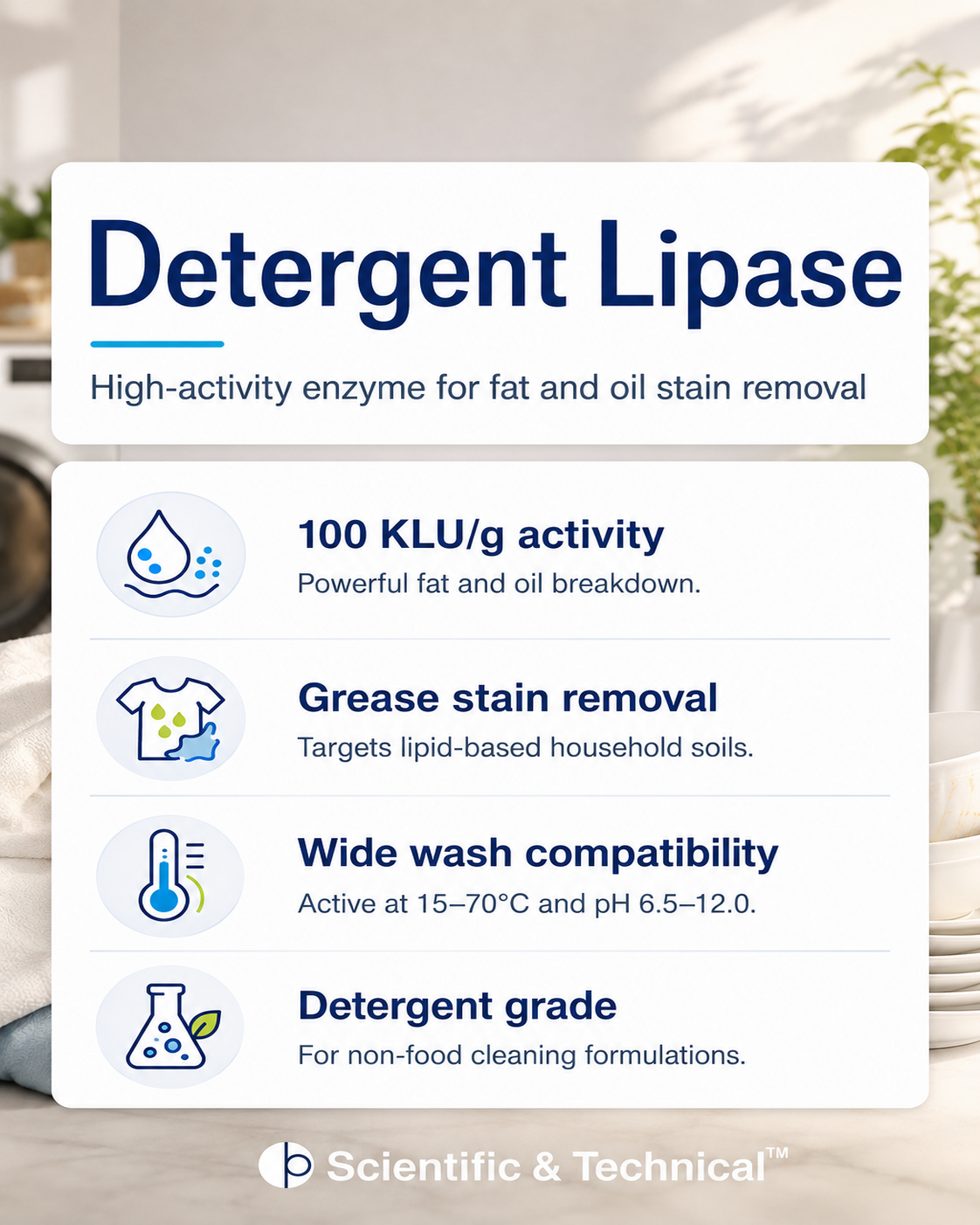 Lipase (eco detergent) product features and specifications