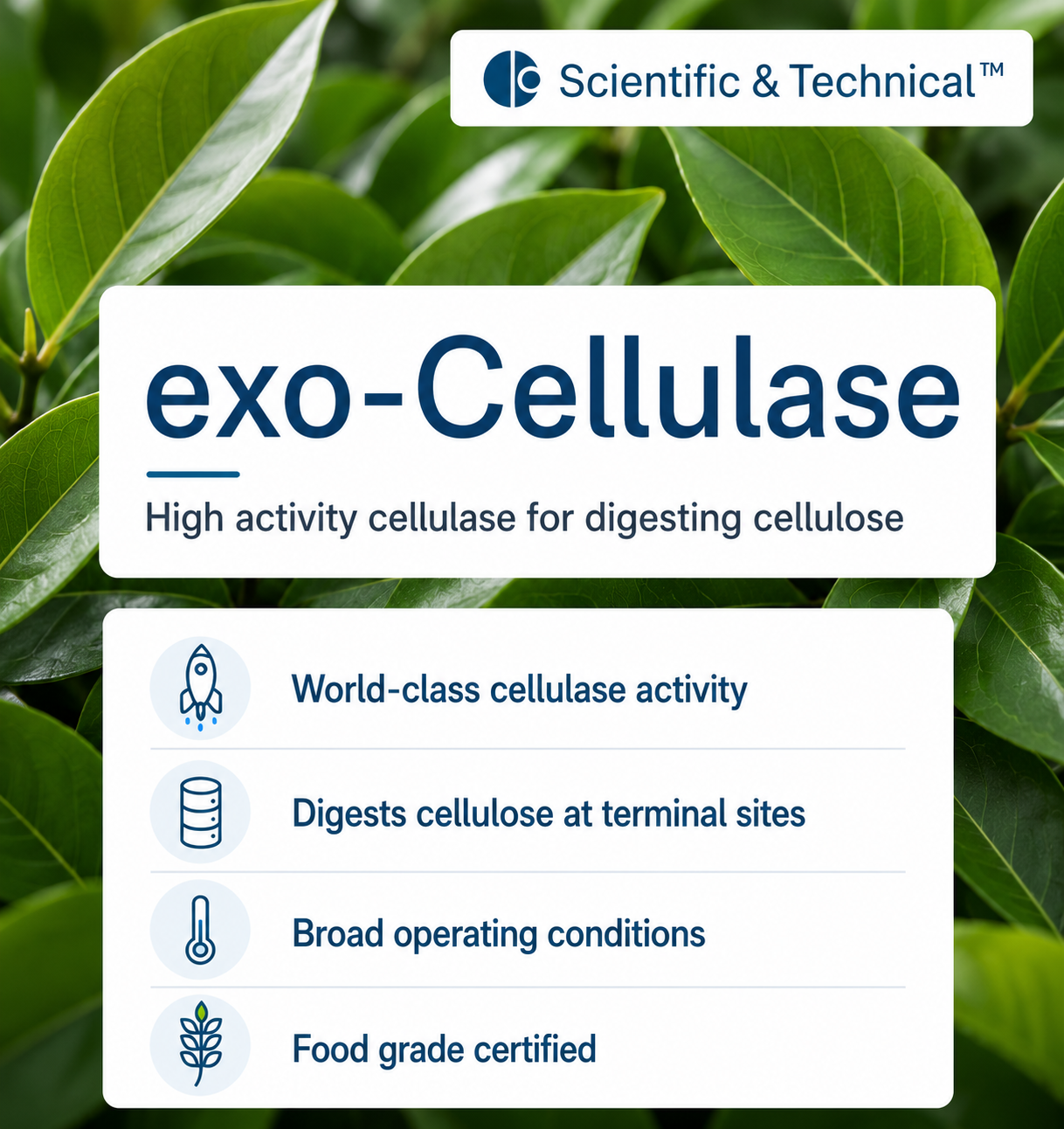 exo-Cellulase