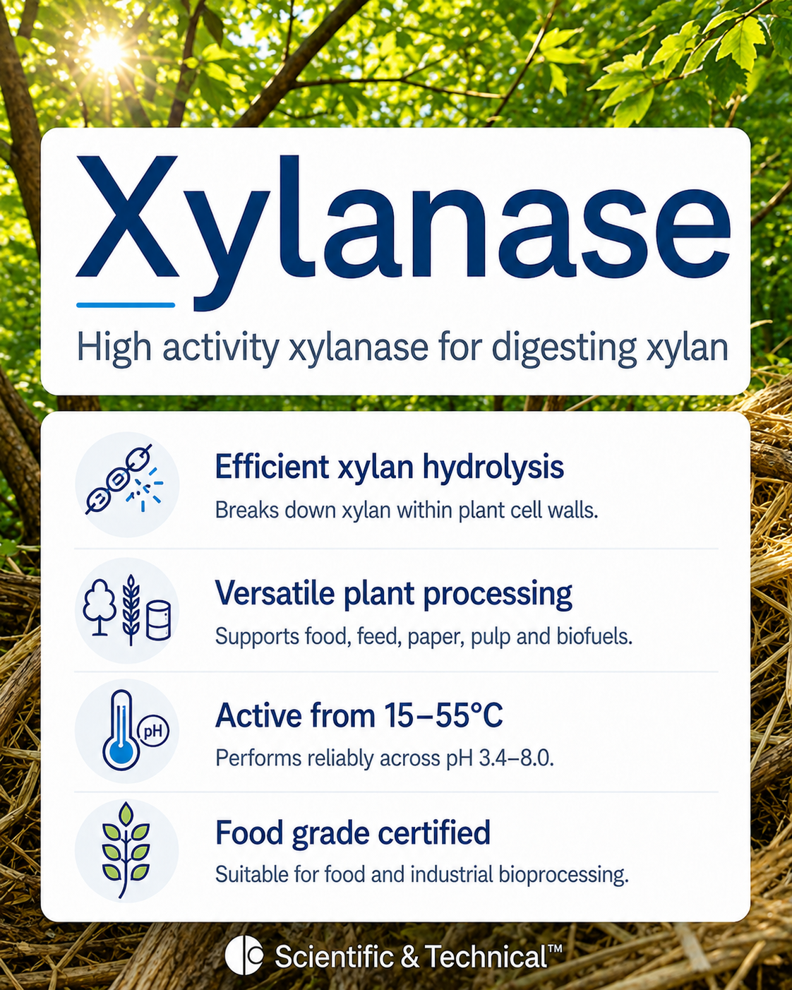 Xylanase product features and specifications