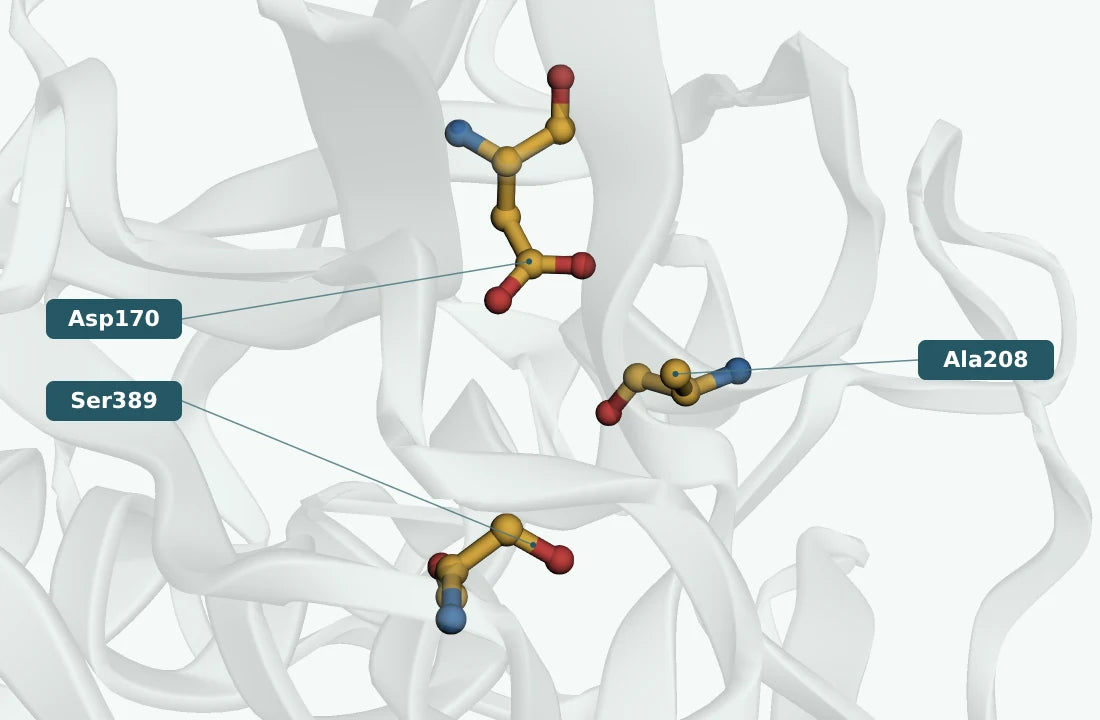 Subtilisin-like serine protease · Fervidobacterium pennivorans active-site close-up