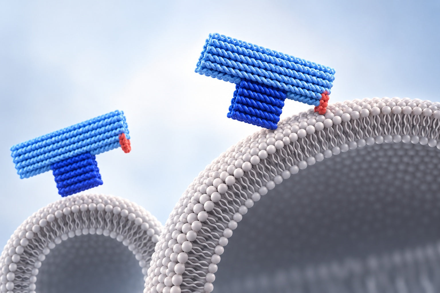 Conceptual illustration for DNA Origami – Lipid Membrane Interactions Controlled by Nanoscale Sterics