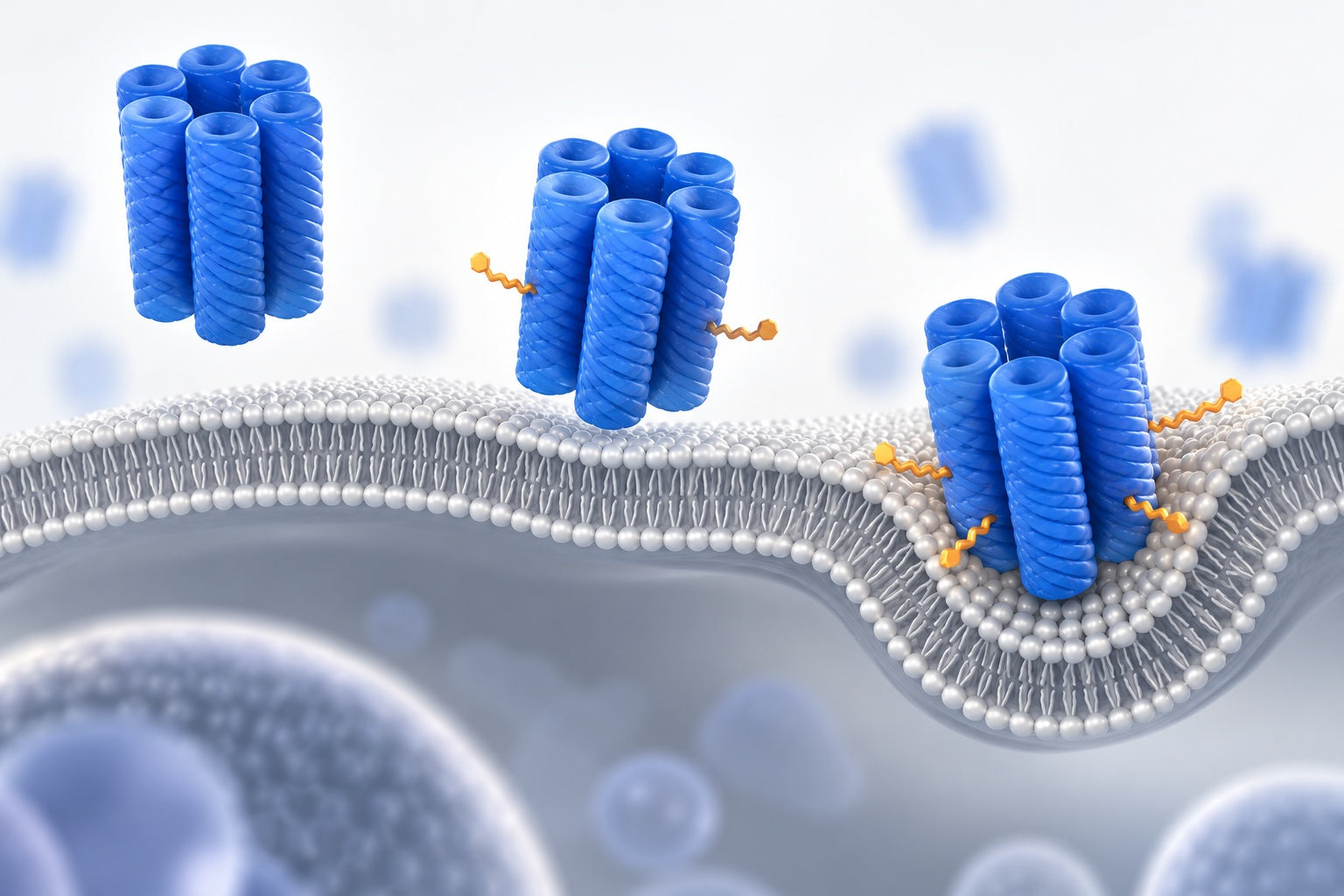 Conceptual illustration for Cholesterol Anchors Enable Efficient Binding and Intracellular Uptake of DNA Nanostructures
