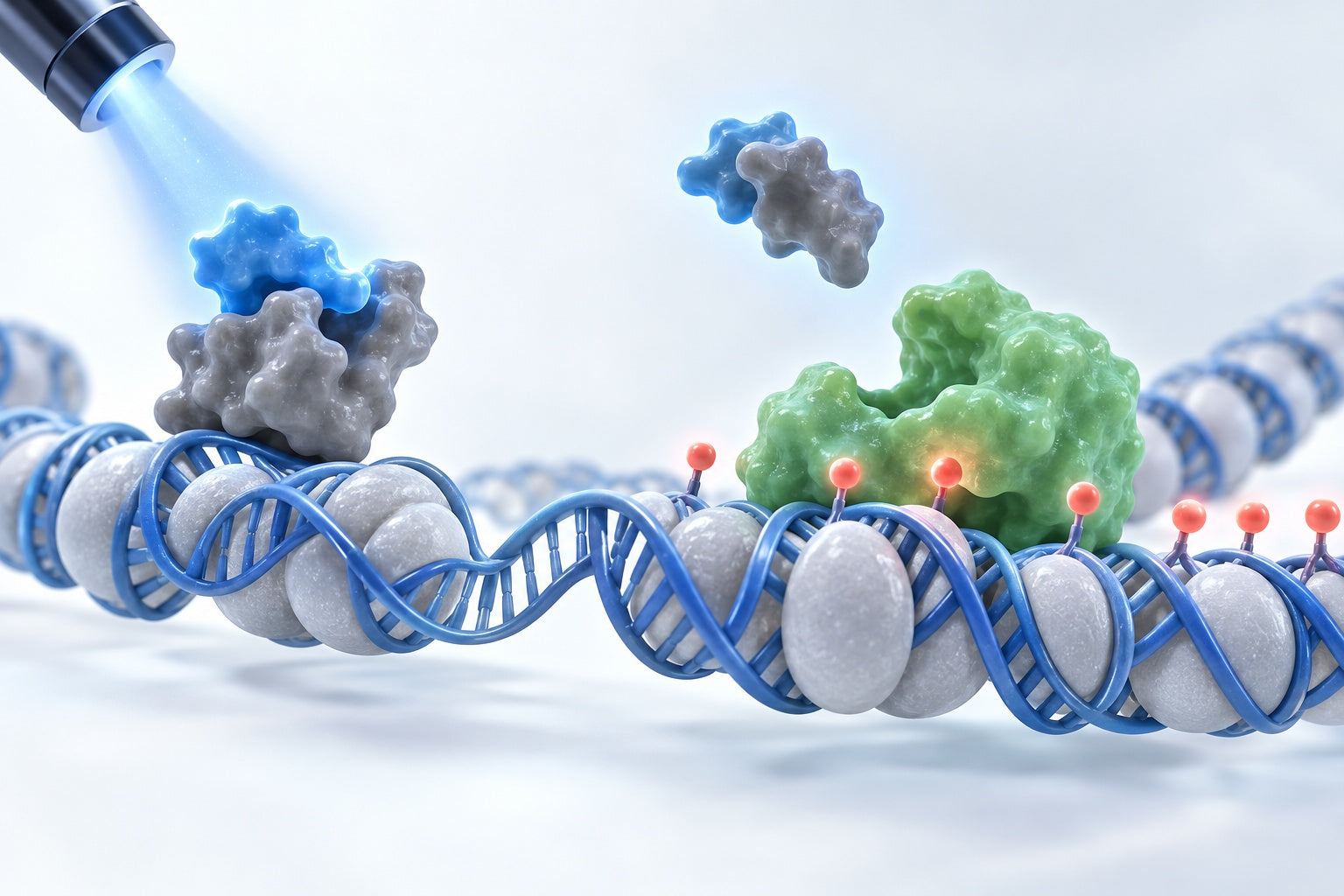 Conceptual illustration for A Photo‐responsive Small‐Molecule Approach for the Opto‐epigenetic Modulation of DNA Methylation