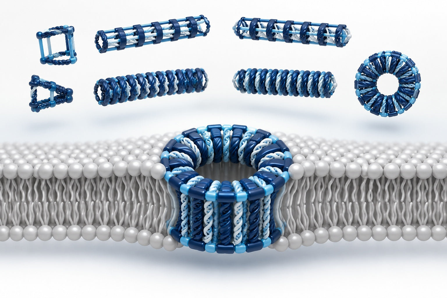 Conceptual illustration for Stability and dynamics of membrane-spanning DNA nanopores.