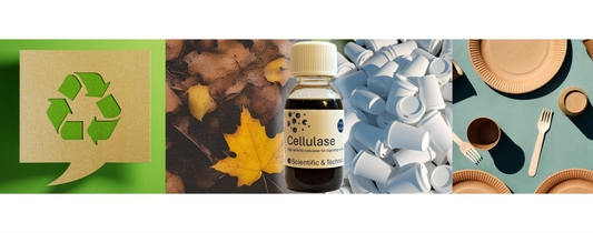 Spotlight: Cellulase