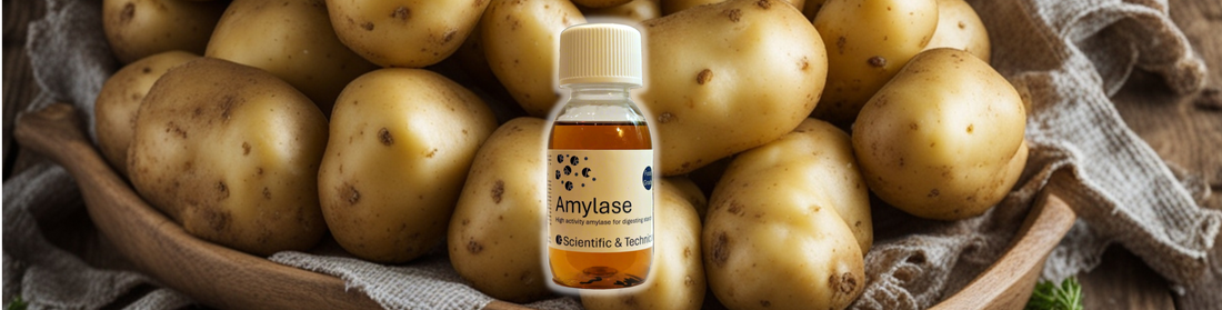 Spotlight: Amylase