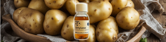 Spotlight: Amylase