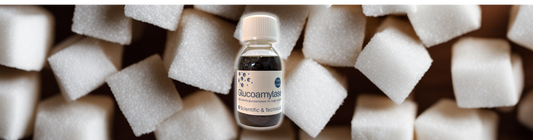 Spotlight: Glucoamylase