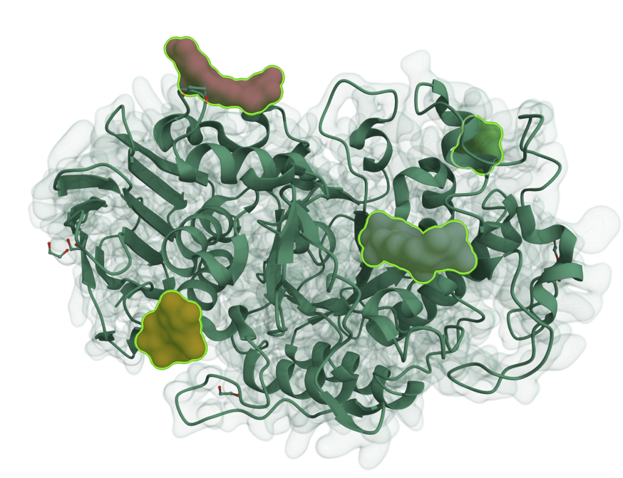 What is an enzyme?