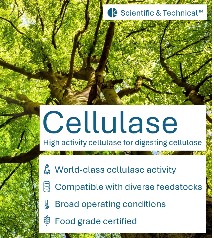 Cellulase