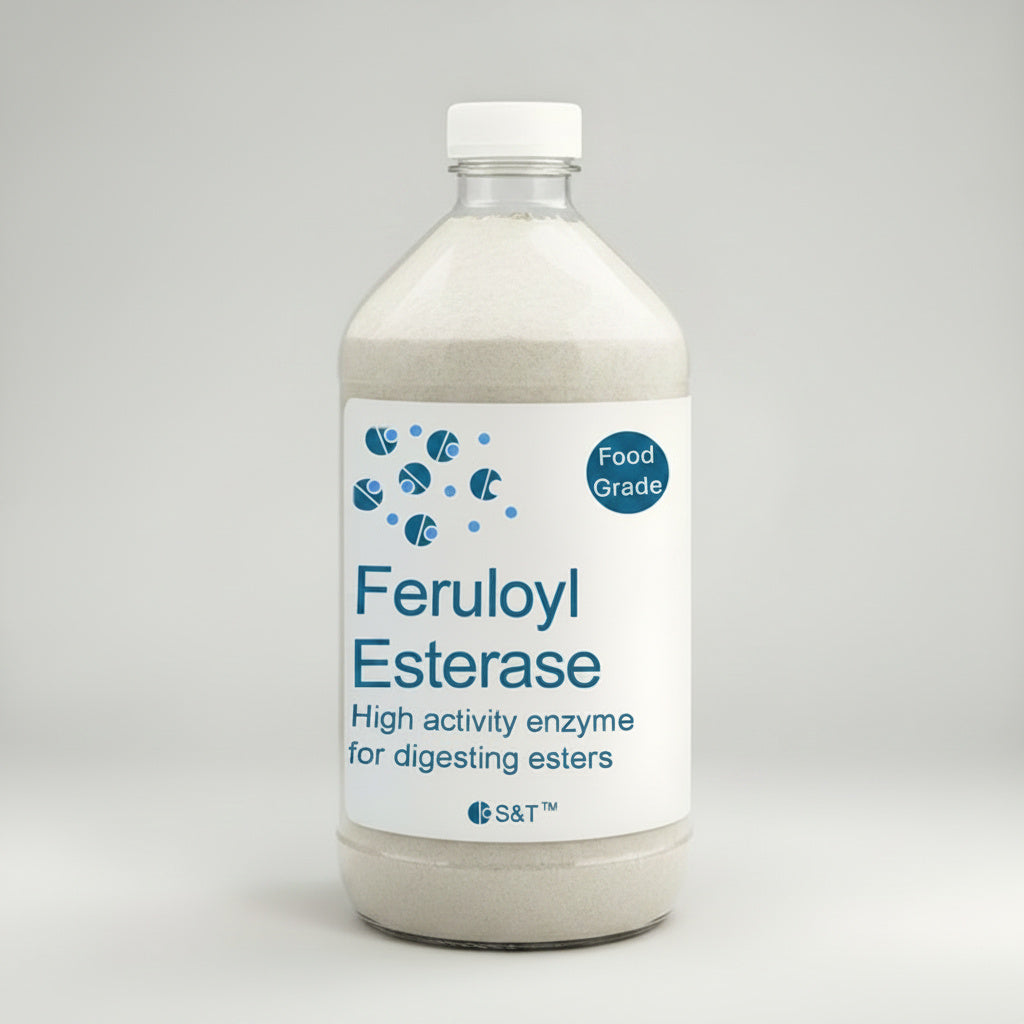 Feruloyl Esterase (NEW)