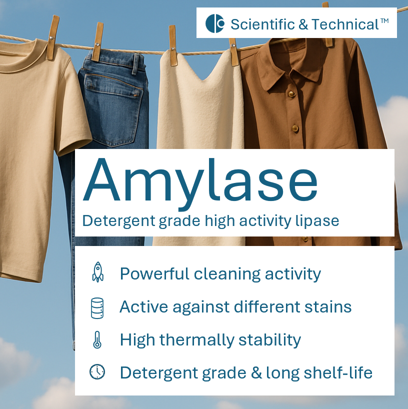 Amylase (detergent)