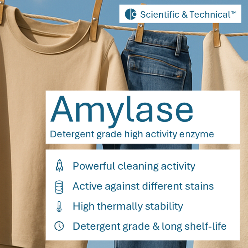 Amylase (detergent)