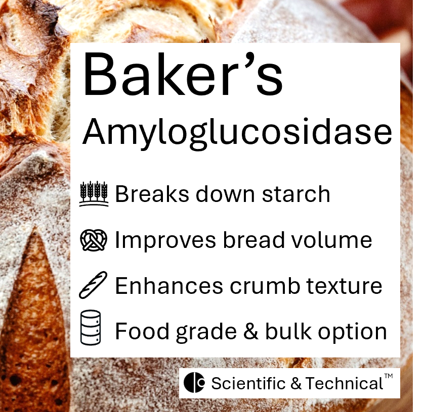 Baker's Amyloglucosidase