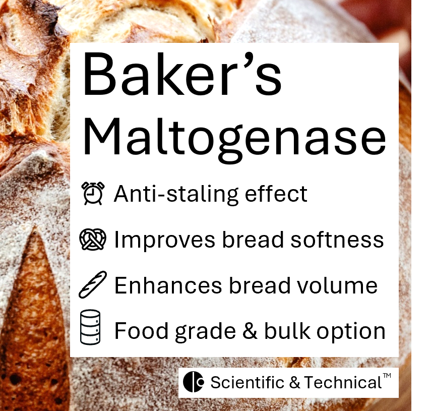 Baker's Maltogenase