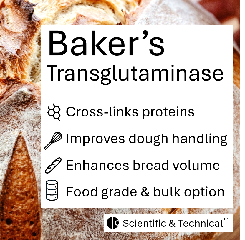 Baker's Transglutaminase