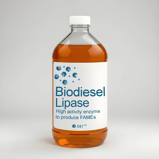 Biodiesel Lipase