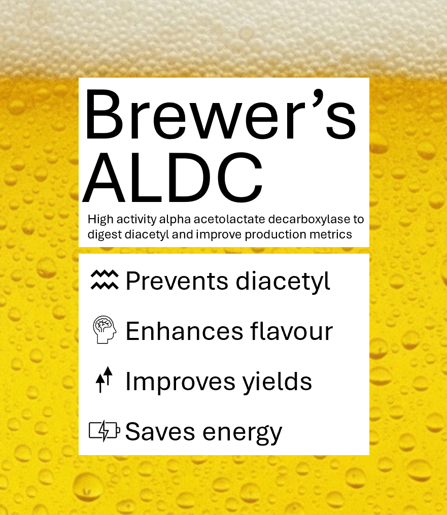 Brewer's alpha acetolactate decarboxylase (ALDC)