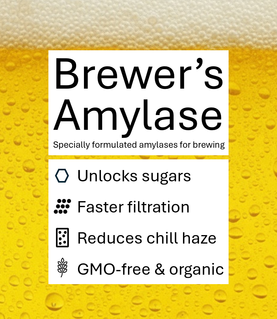 Brewer's Amylase
