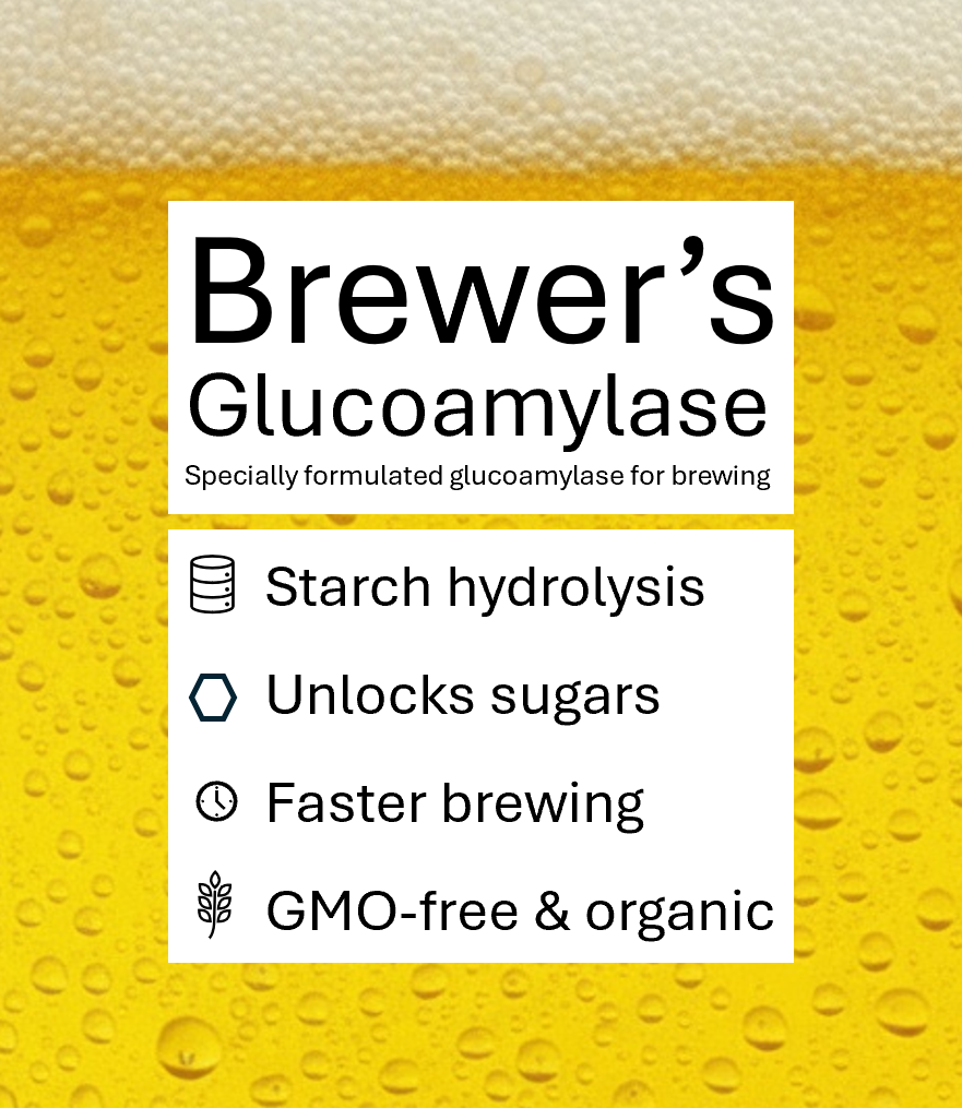 Brewer's Glucoamylase
