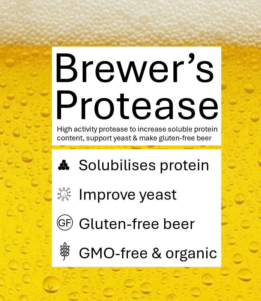 Brewer's Protease