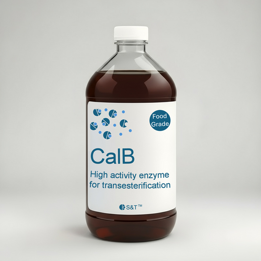 CalB (NEW)