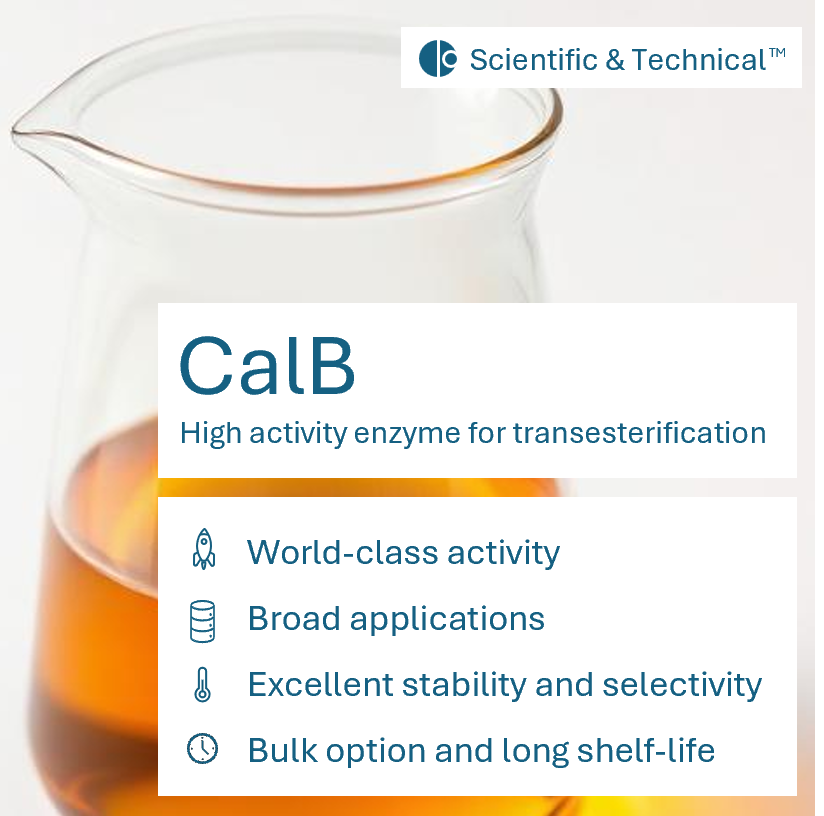 CalB (NEW)