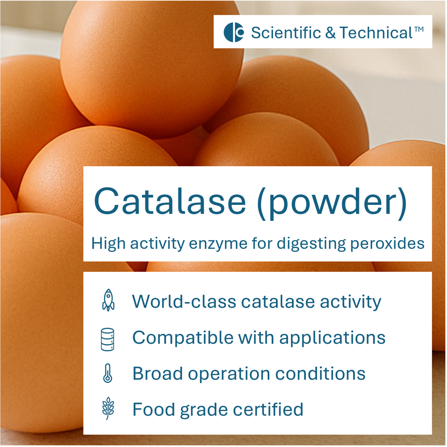 Catalase (powder)