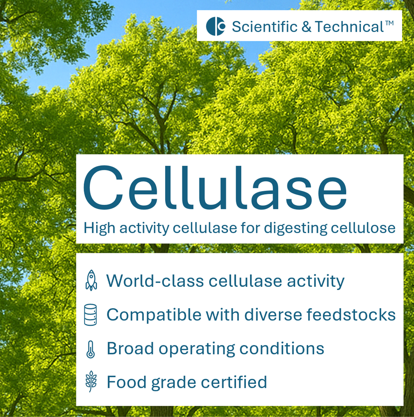Cellulase