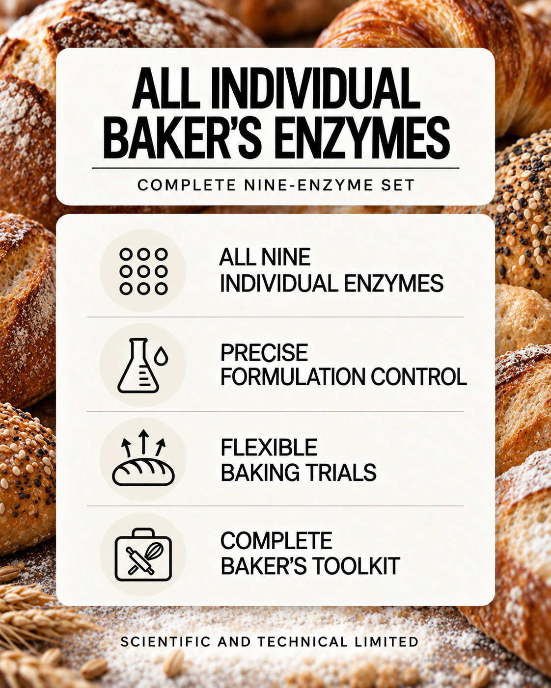 All Individual Baker's Enzymes